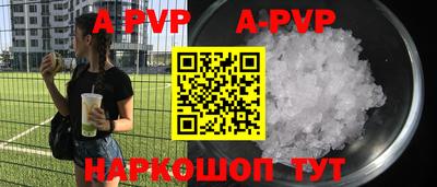 гашик Новозыбков