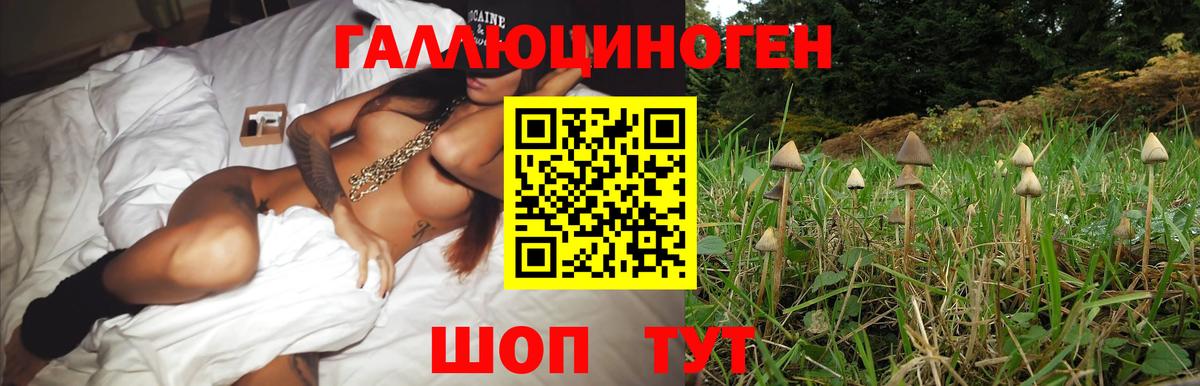 Троицк  Псилоцибиновые грибы мухоморы  наркошоп  Вход с VPN 